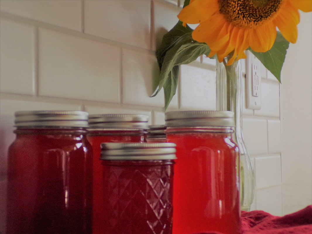 jars of apple scrap jelly sit on a counter with a sunflower in the background