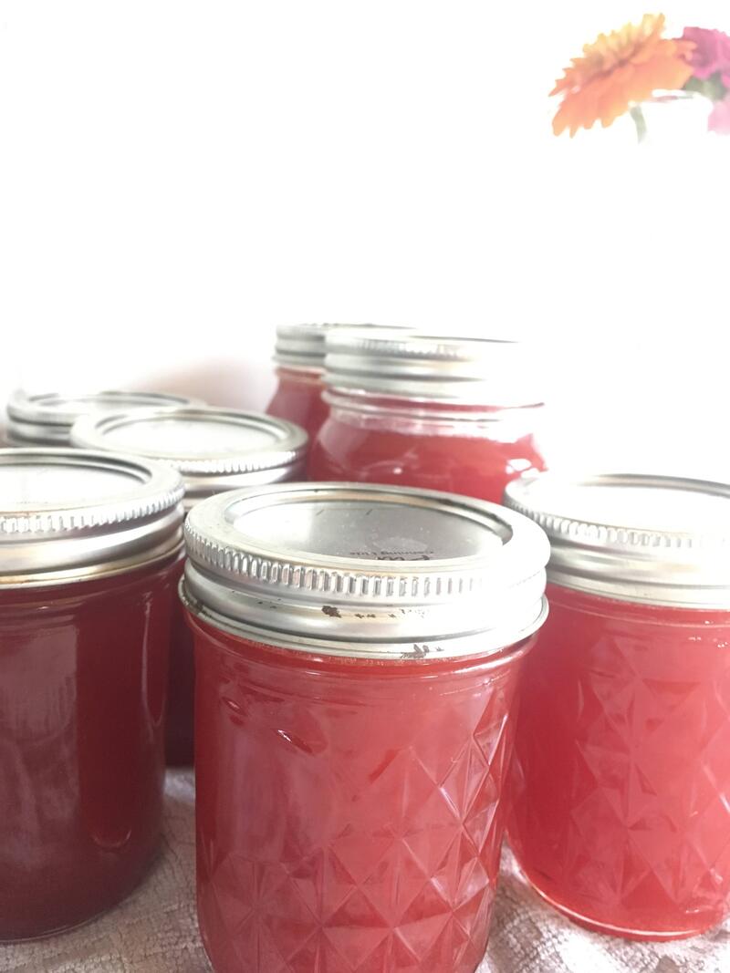 wild Plum jelly sits on a counter
