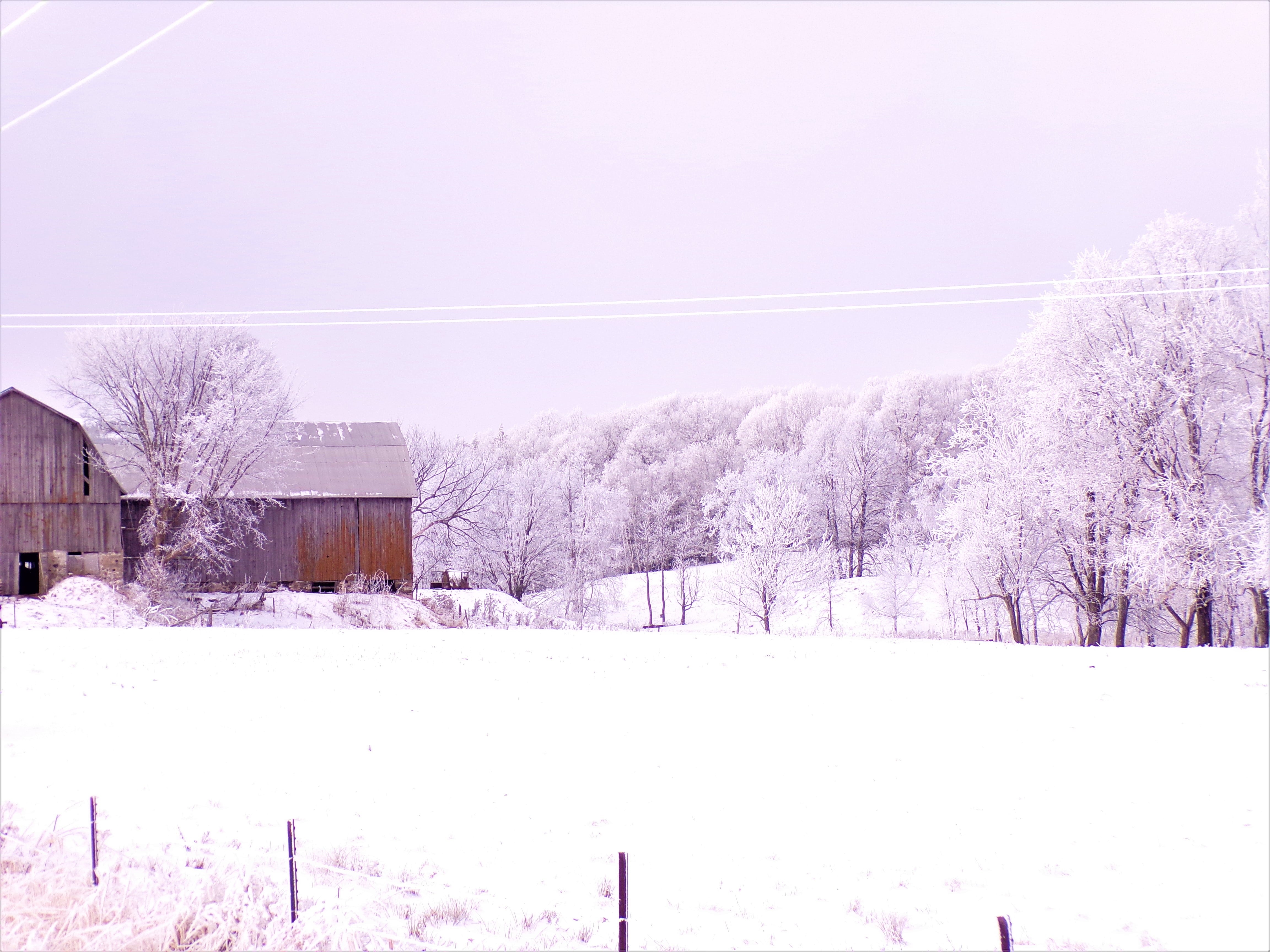 a barn sits on a snowy field with frost covered trees in Wisconsin