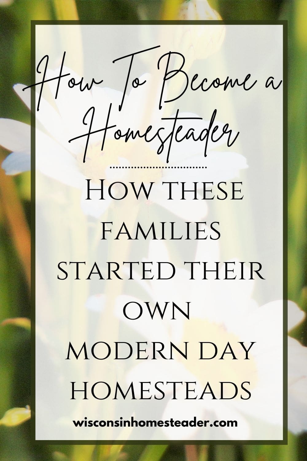 how to become a homesteader, how these families started their own modern day homesteads
