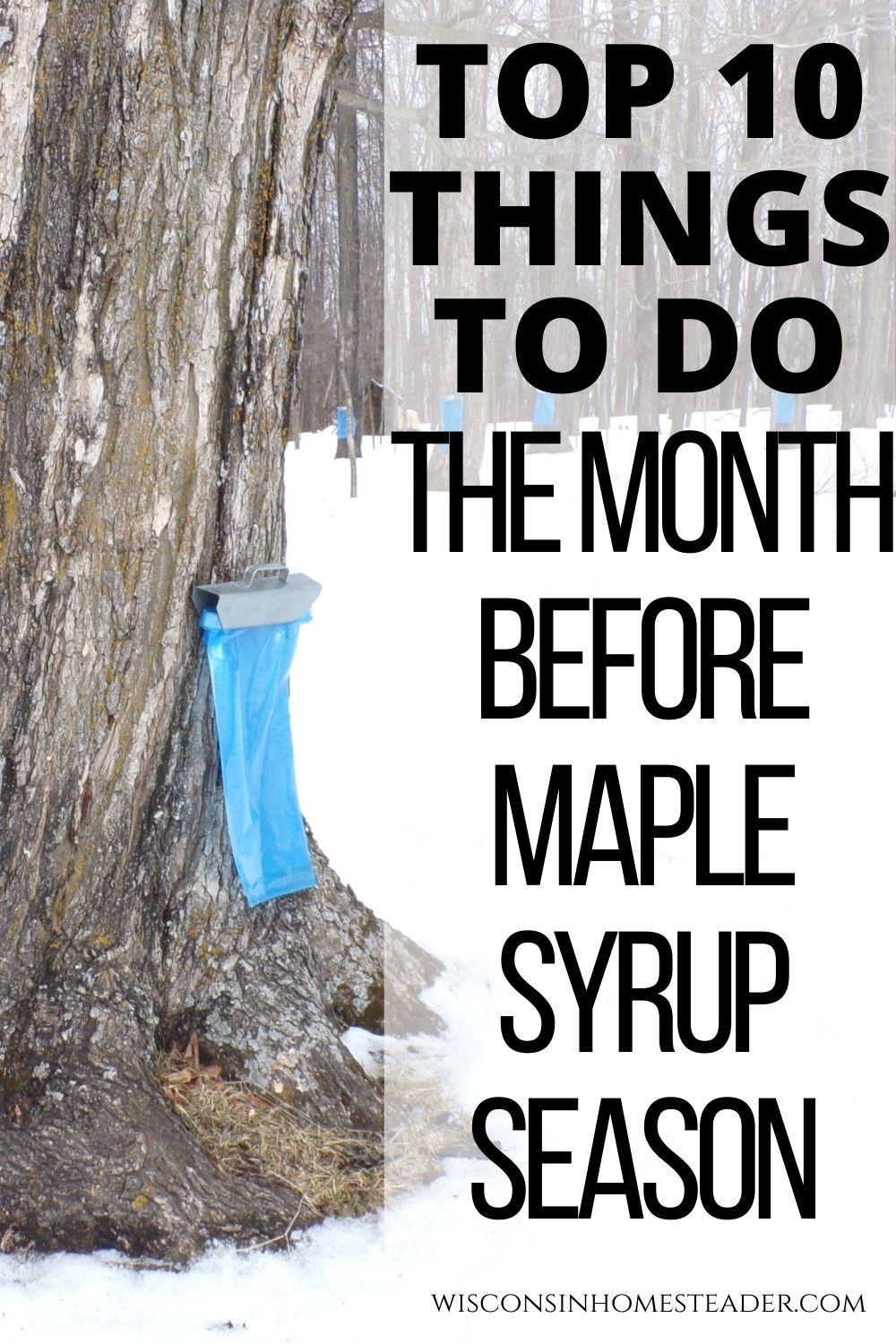 top 10 things to do the month before maple syrup season
