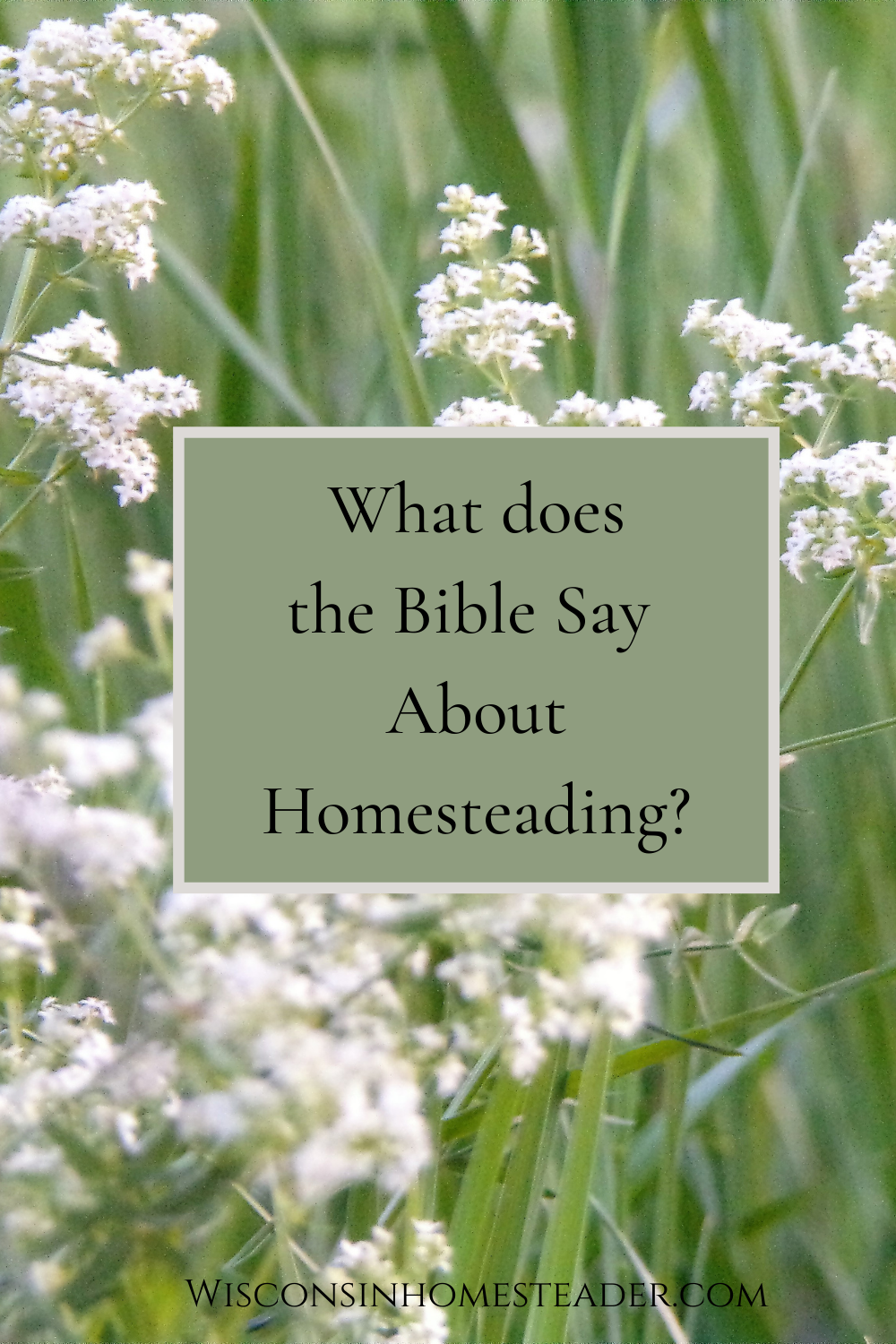 what does the bible say about homesteading?