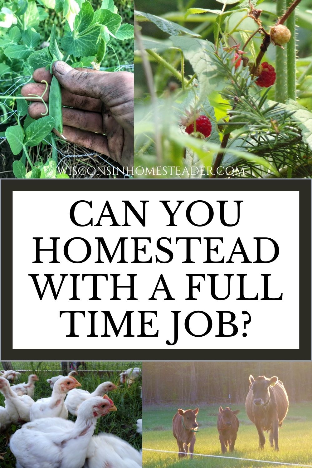 homesteading while working full time