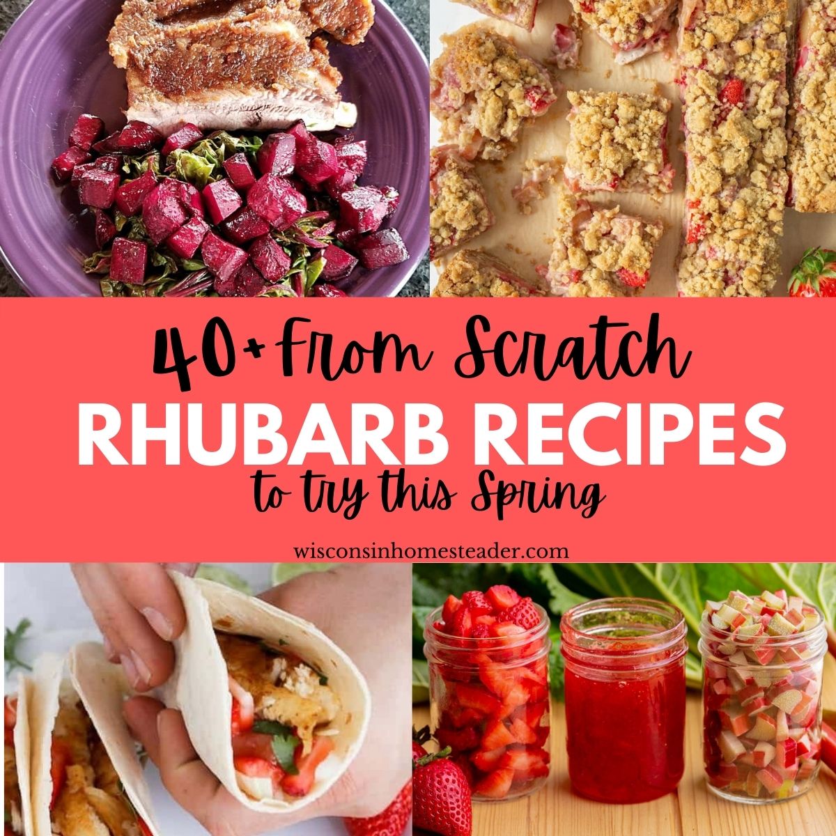 rhubarb recipes from scratch
