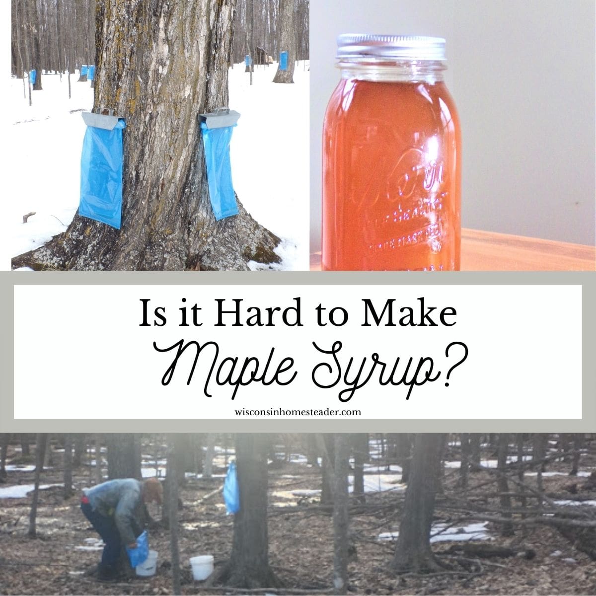 is it hard to make maple syrup