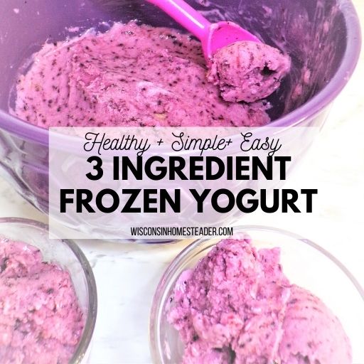 3 ingredient frozen yogurt