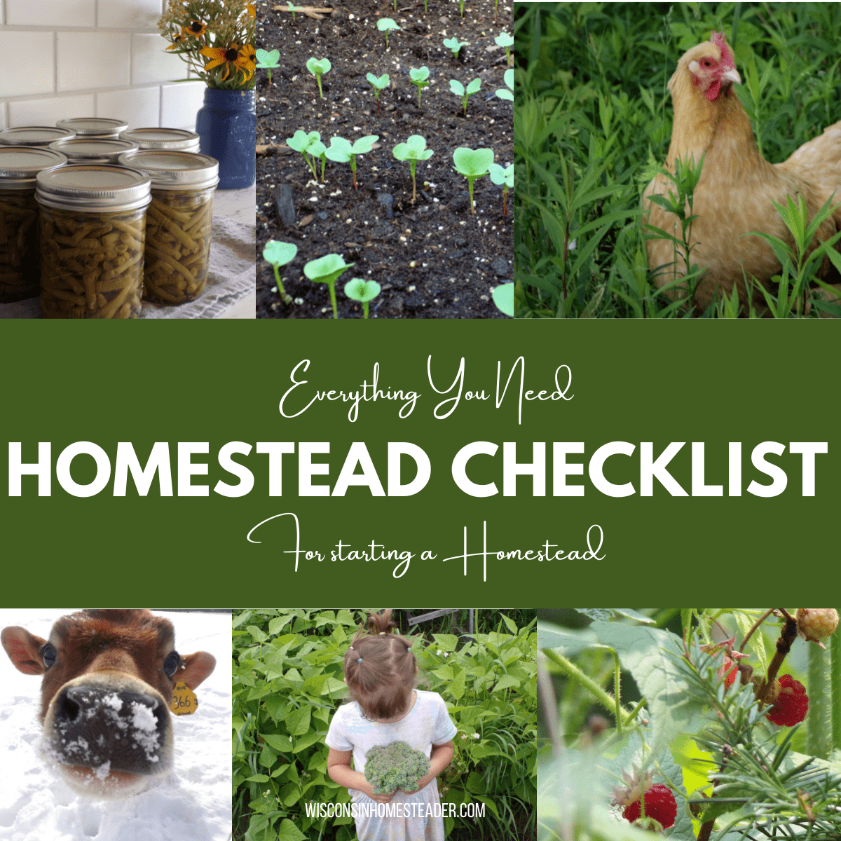 homestead checklist