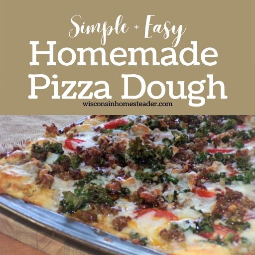 homemade pizza dough