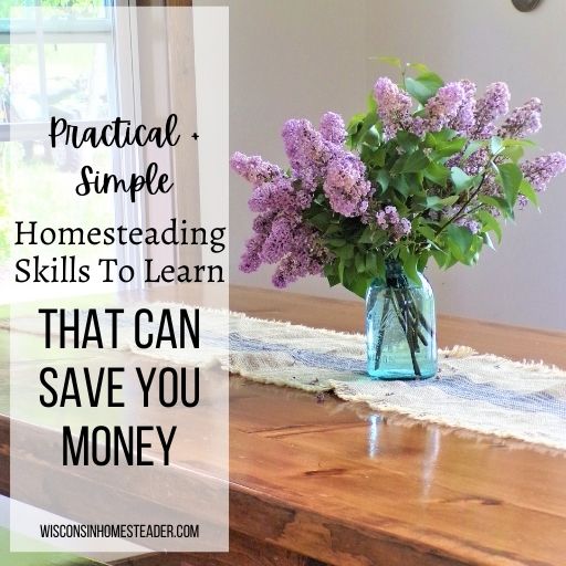 homesteading skills to learn to save money