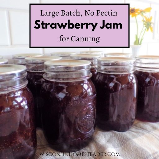strawberry jam for canning