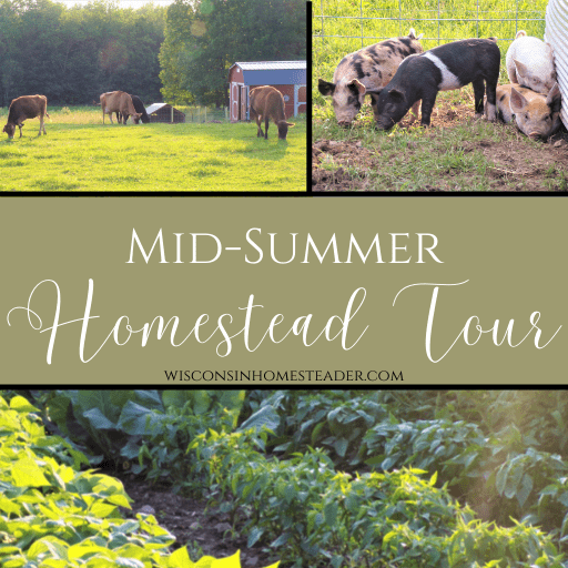 mid-summer homestead tour