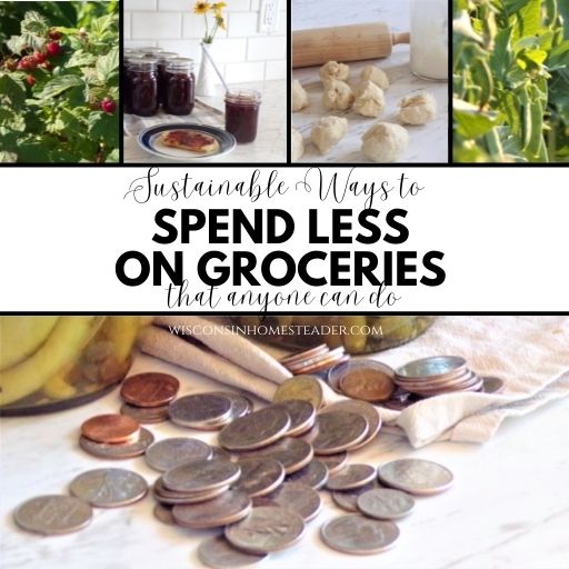 spend less on groceries with growing food, making it yourself, and preserving food.