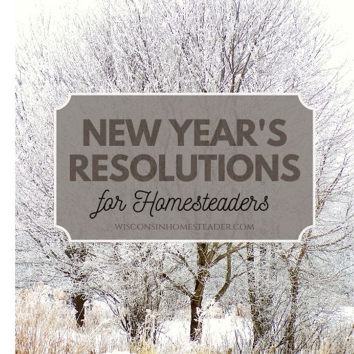 A winter scene with the words New Year's Resolutions for Homesteaders written across it.