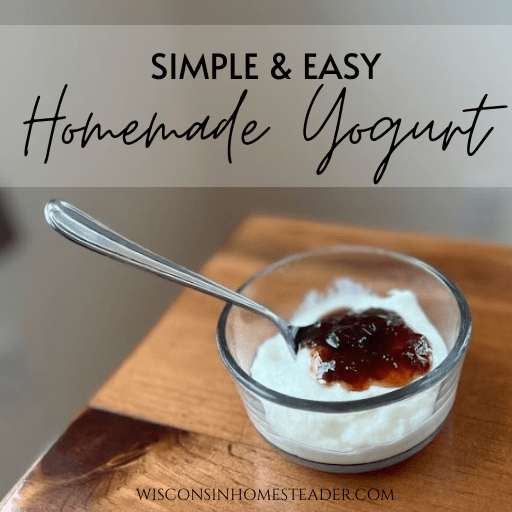 A bowl of homemade yogurt sits on a table with a dollop of strawberry jam.