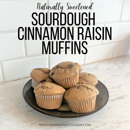 Naturally Sweetened SOURDOUGH CINNAMON RAISIN MUFFINS sit on a plate on a counter top
