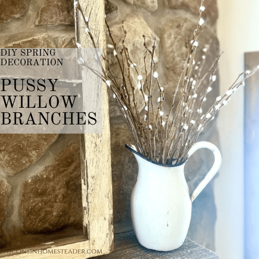 These easy DIY pussy willow branches are a beautiful addition to any homestead, serving as a frugal and lovely spring decoration.