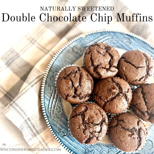 Naturally sweetened double chocolate chip muffins