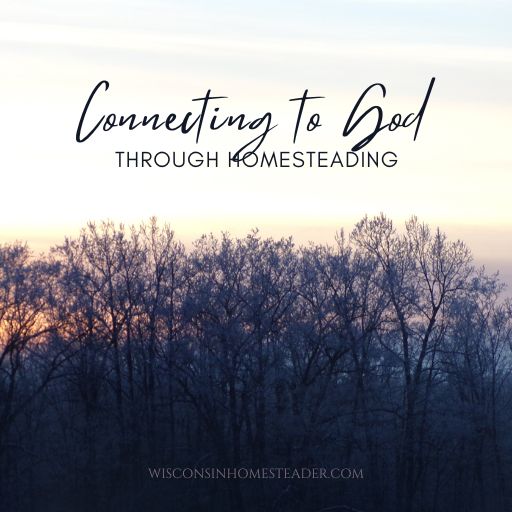 Connecting to God through Homesteading with image of tree tops covering the setting sun.