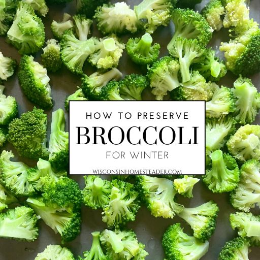 Broccoli sits on a pan ready to be preserved for winter