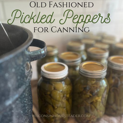 A jar of old fashioned pickled peppers sits on a counter next to a canner.