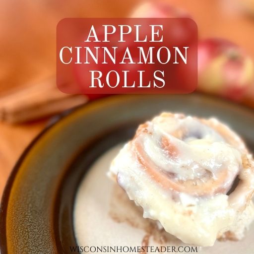 Apple cinnamon rolls sit on a plate.