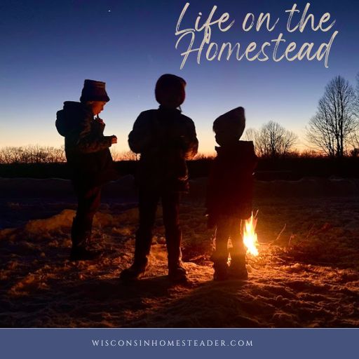 Kids live life on the homestead as they stand around a fire in winter