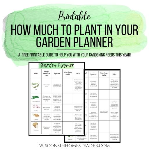 Printable garden planner on how much to plant in your garden